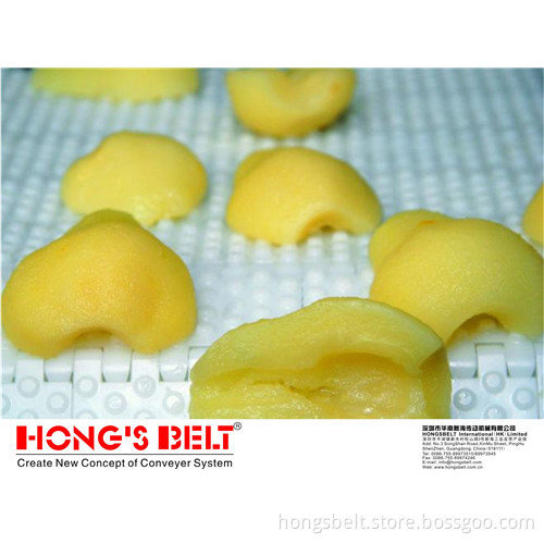 The Anti-Friction Modular Conveyor Belt (HS-100AN)